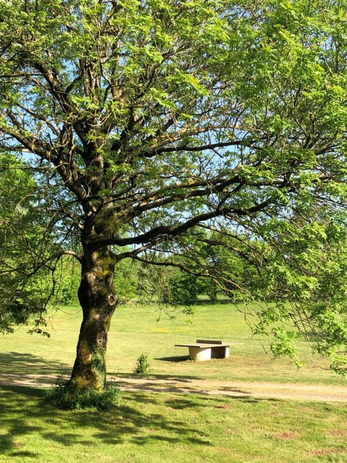 Domaine De Tapies 2 Gites Jusqu A 19 Personnes Cornus Exteriör bild